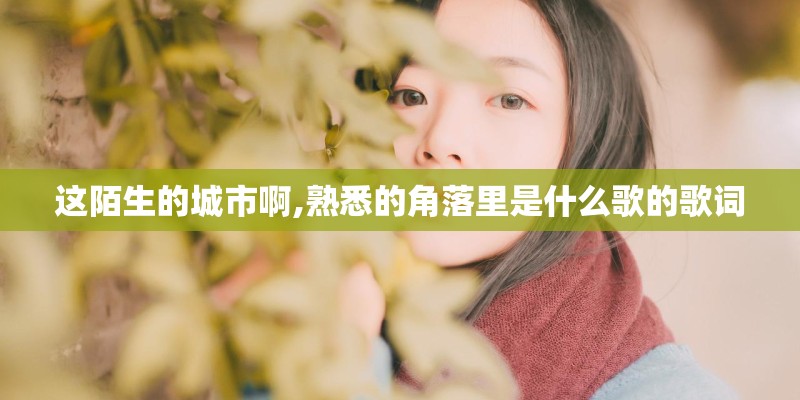 这陌生的城市啊,熟悉的角落里是什么歌的歌词