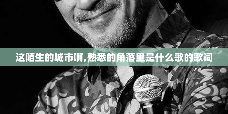 这陌生的城市啊,熟悉的角落里是什么歌的歌词