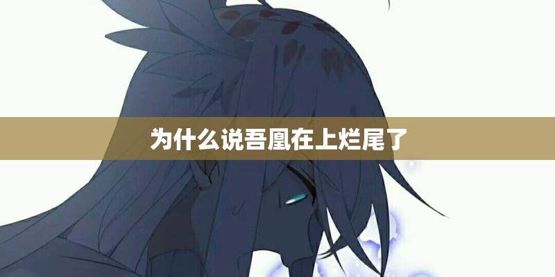 为什么说吾凰在上烂尾了