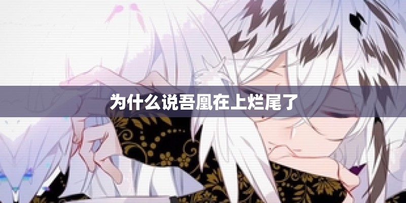 为什么说吾凰在上烂尾了