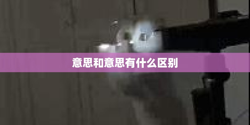 意思和意思有什么区别
