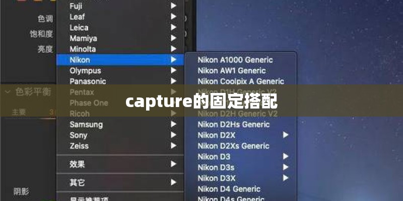 capture的固定搭配