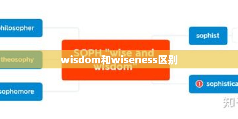 wisdom和wiseness区别
