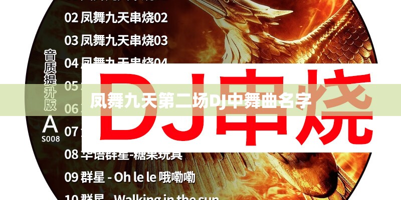 凤舞九天第二场DJ中舞曲名字