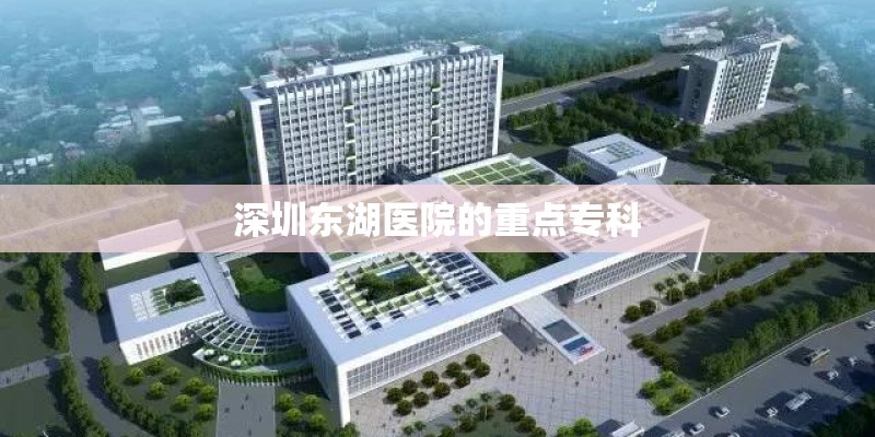 深圳东湖医院的重点专科