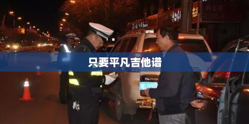 只要平凡吉他谱