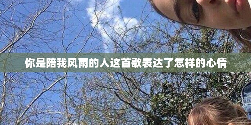 你是陪我风雨的人这首歌表达了怎样的心情