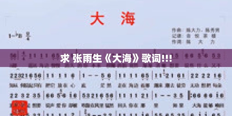 求 张雨生《大海》歌词!!!
