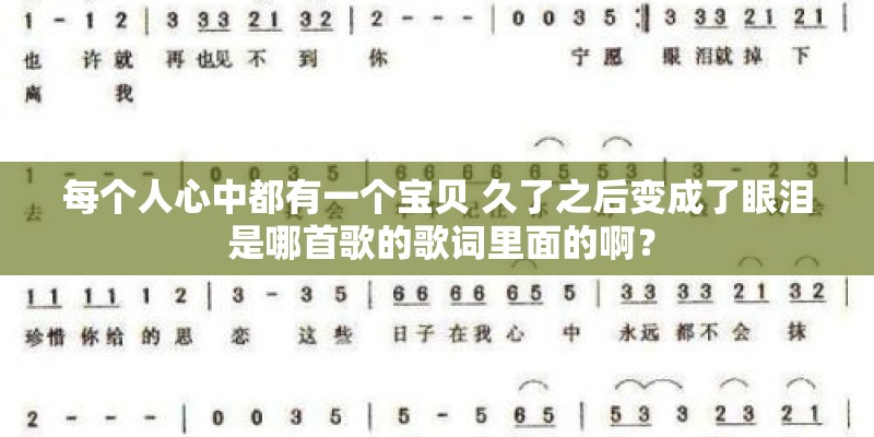 每个人心中都有一个宝贝 久了之后变成了眼泪 是哪首歌的歌词里面的啊？