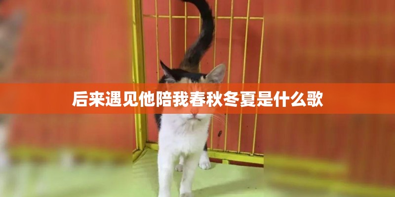 后来遇见他陪我春秋冬夏是什么歌