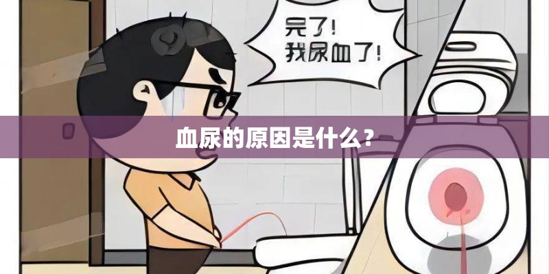 血尿的原因是什么？