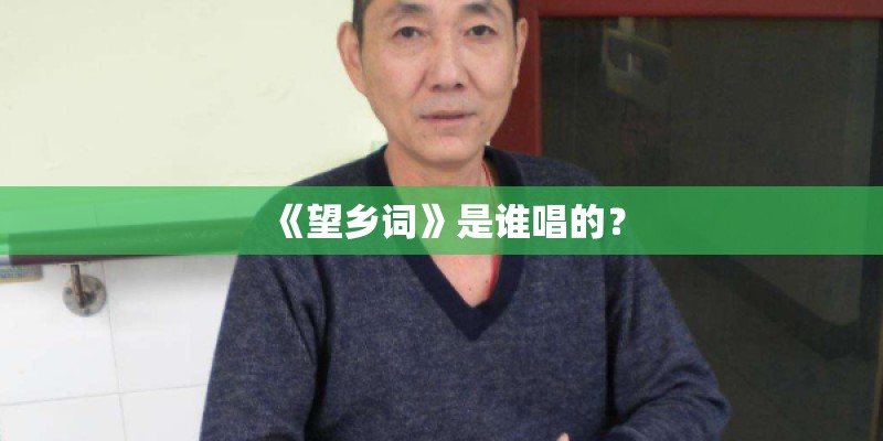 《望乡词》是谁唱的？