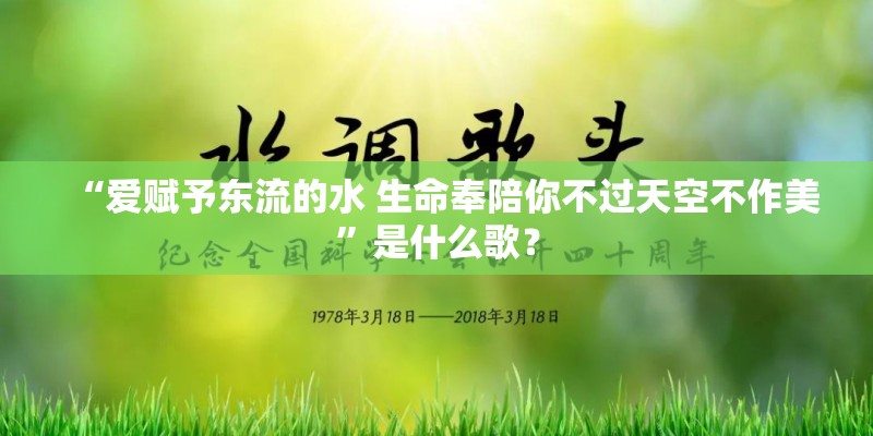 “爱赋予东流的水 生命奉陪你不过天空不作美”是什么歌？