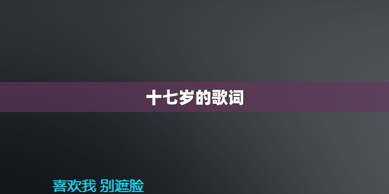 十七岁的歌词