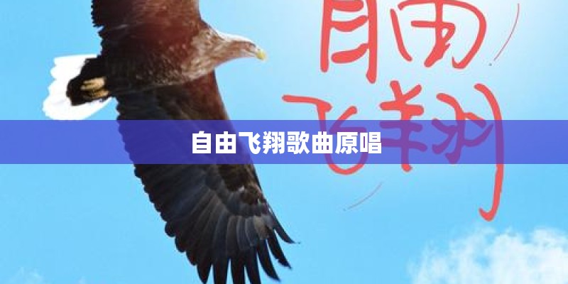 自由飞翔歌曲原唱