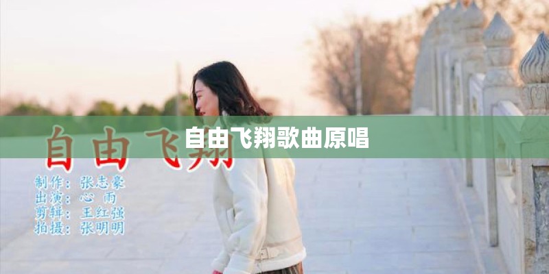 自由飞翔歌曲原唱