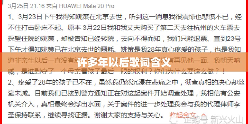 许多年以后歌词含义