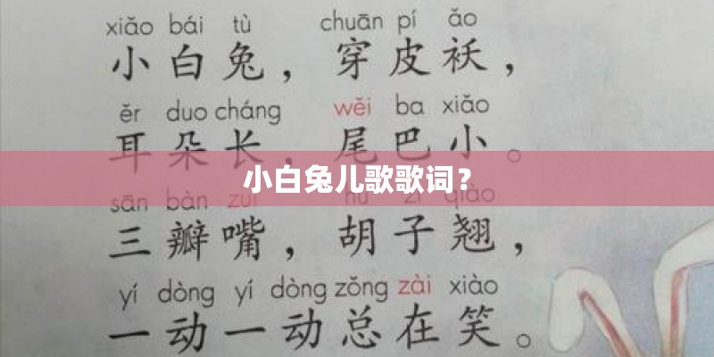 小白兔儿歌歌词？