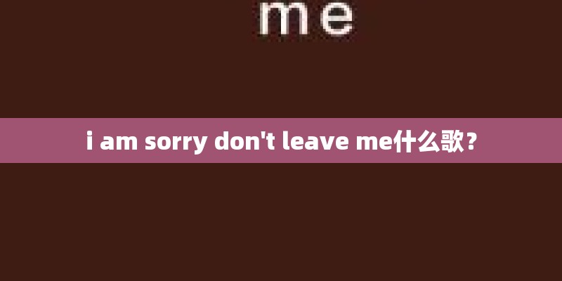 i am sorry don't leave me什么歌？