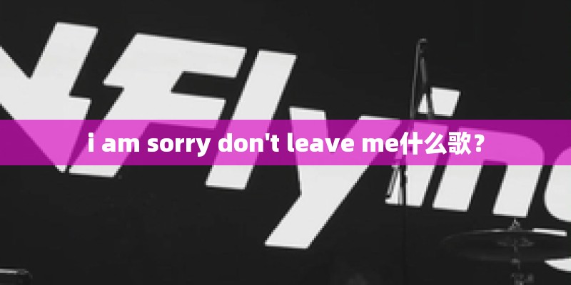 i am sorry don't leave me什么歌？