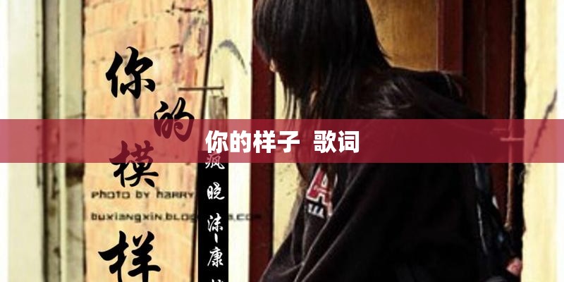 你的样子  歌词