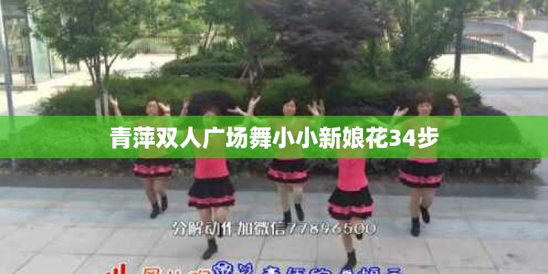 青萍双人广场舞小小新娘花34步 青萍双人广场舞小小新娘花34步