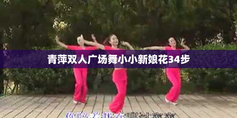 青萍双人广场舞小小新娘花34步 青萍双人广场舞小小新娘花34步