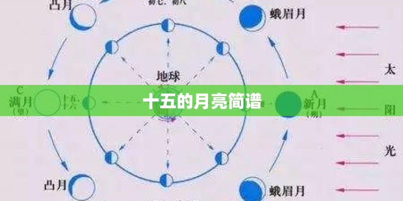 十五的月亮简谱 十五的月亮简谱
