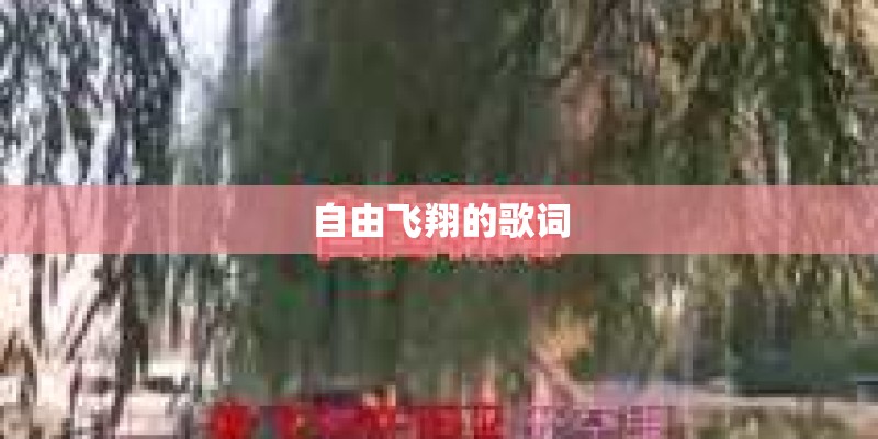 自由飞翔的歌词