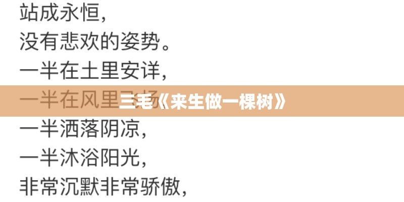 莫文蔚的《电台情歌》歌词