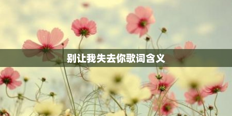 别让我失去你歌词含义