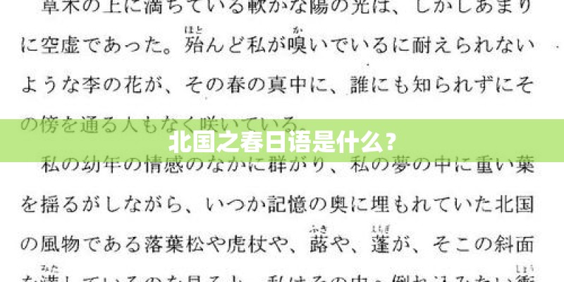 北国之春日语是什么？