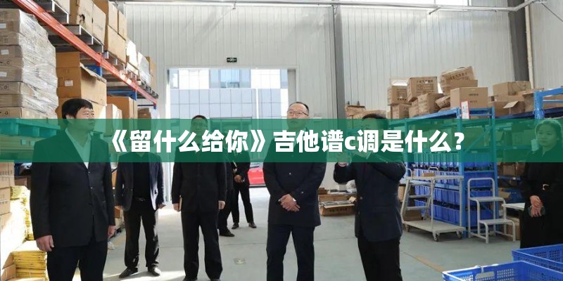 《留什么给你》吉他谱c调是什么？