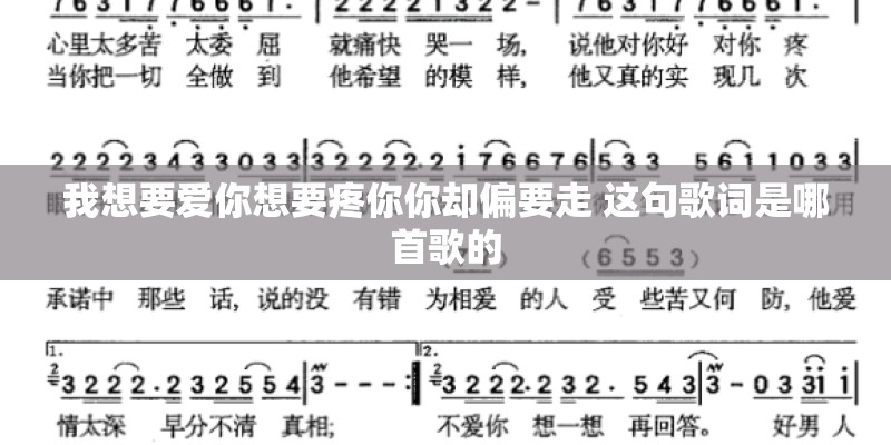 我想要爱你想要疼你你却偏要走 这句歌词是哪首歌的